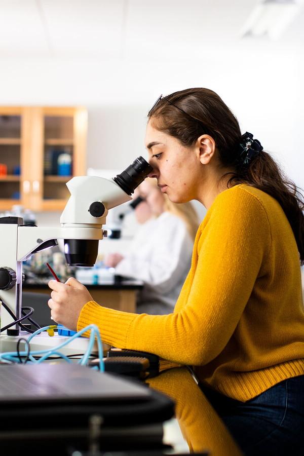 女学生通过显微镜观察.